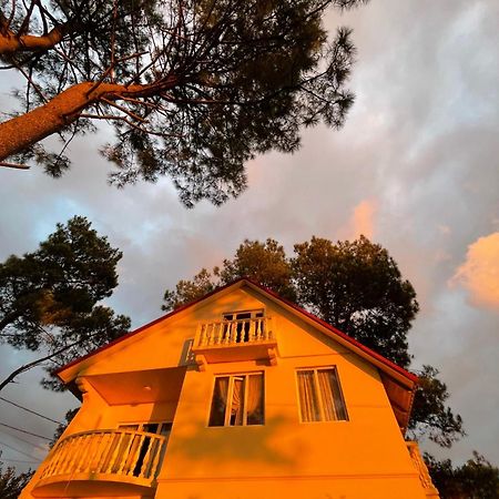 Kaprovani Villa 22 Шекветили Екстериор снимка